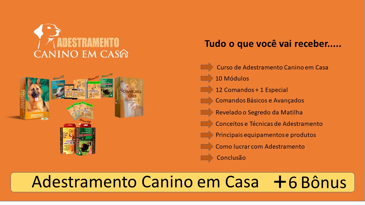 Adestramento Canino em Casa